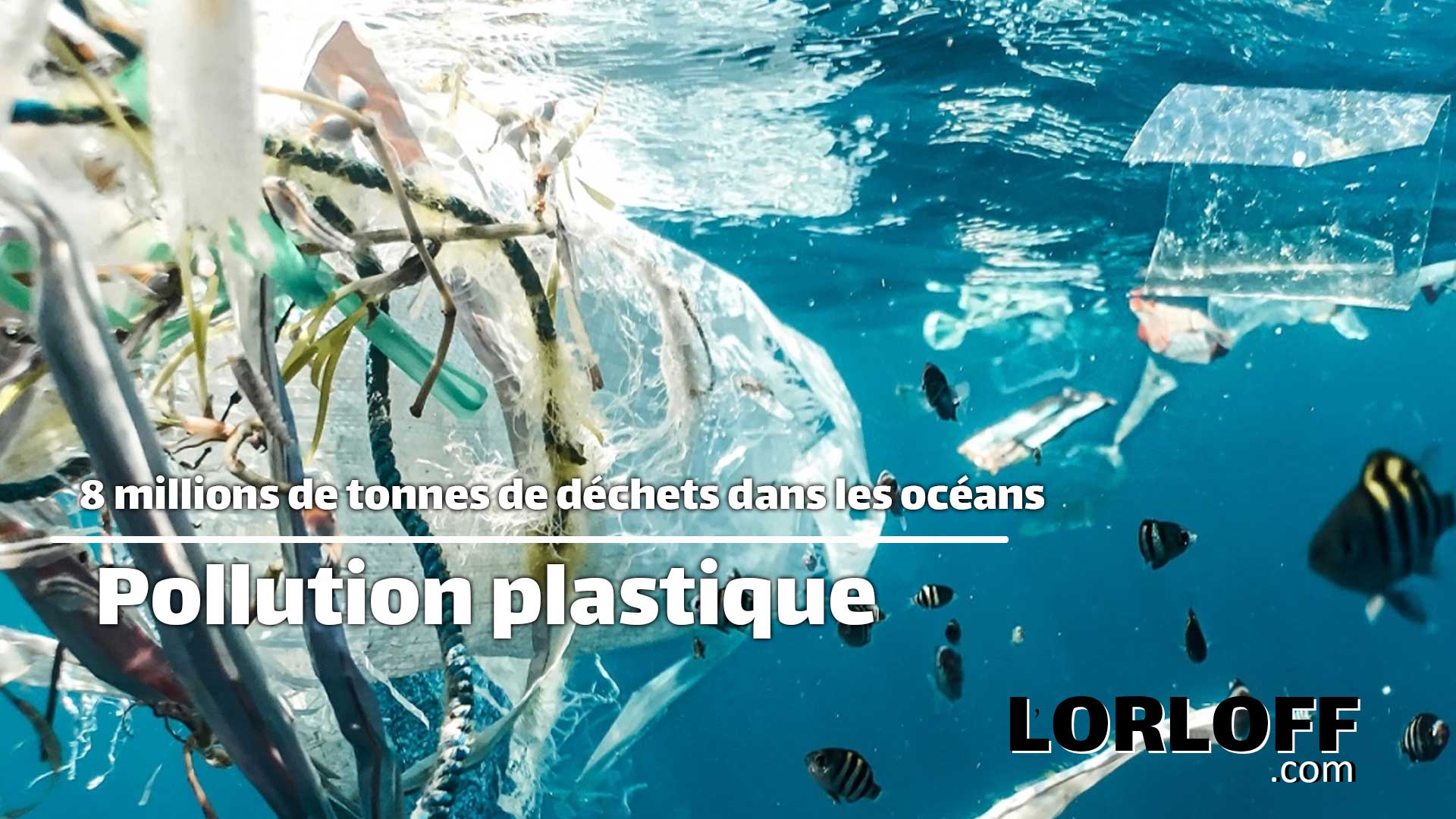 Pollution plastique : 8 millions de tonnes de déchets finissent dans ...